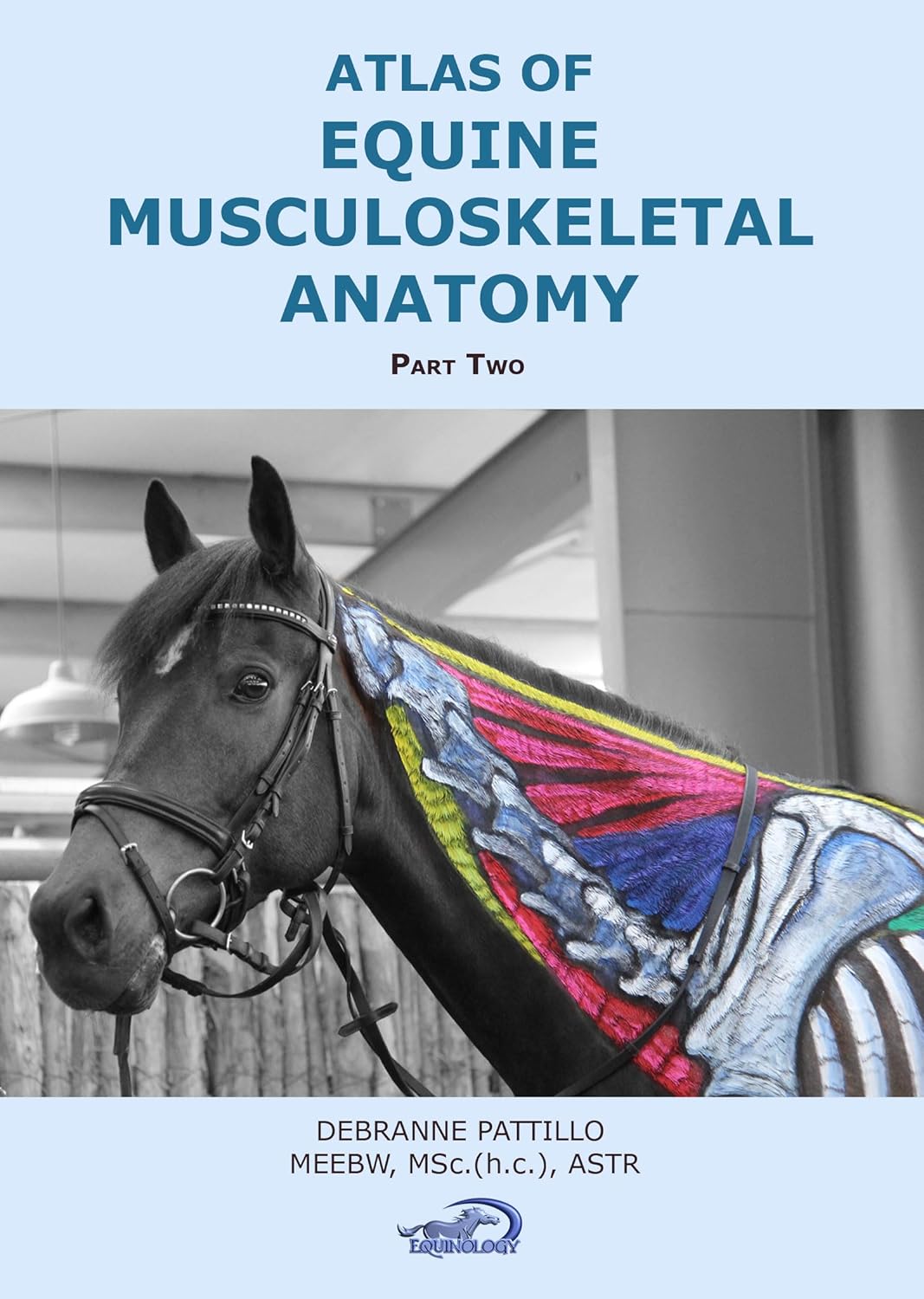 Atlas of Equine Musculoskeletal Anatomy (Part Two): Book 2 in the Anatomy of Equine Bodywork: The Equinology® Approach digital series