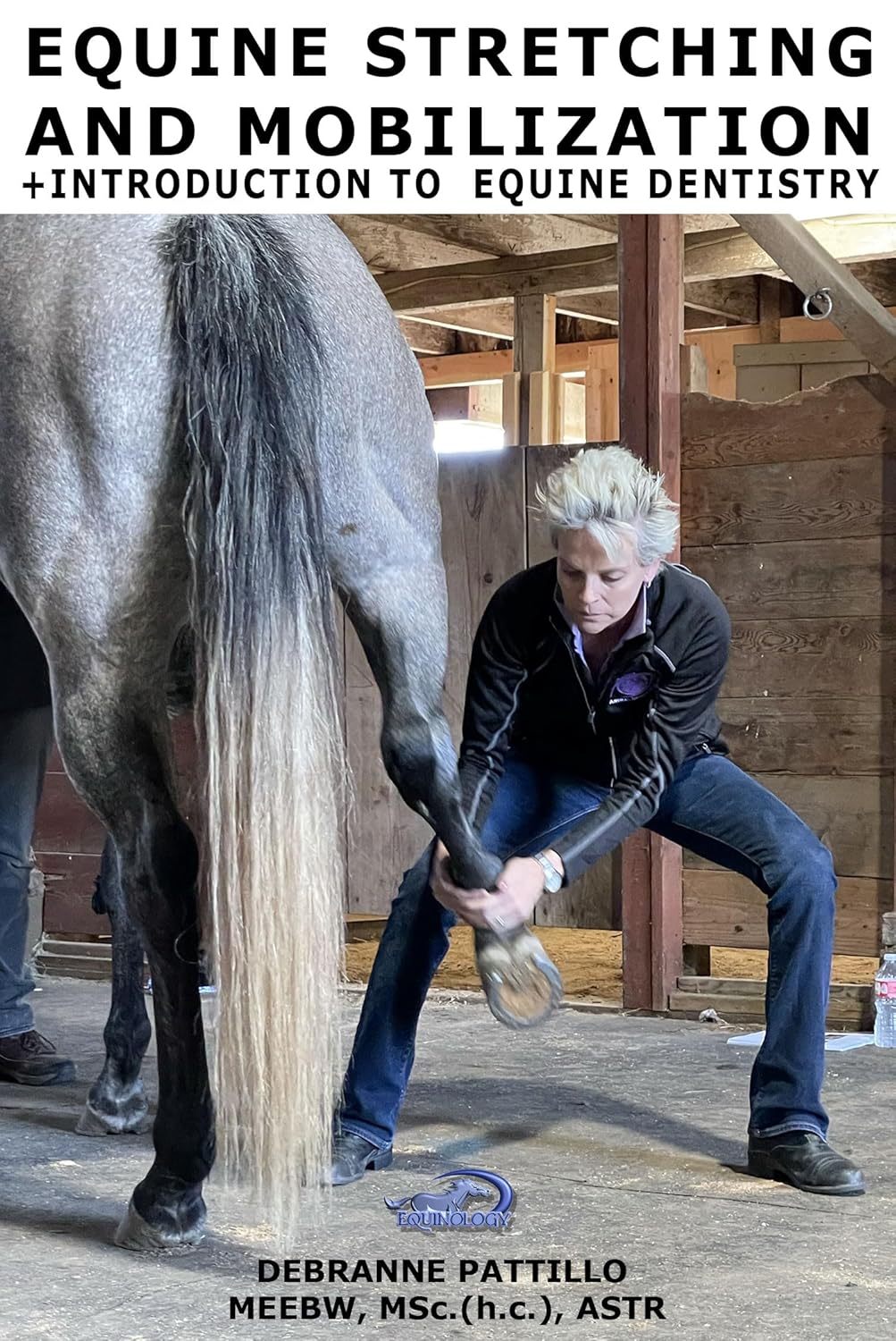 Equine Stretching and Mobilization & Introduction to Dentistry: Book Three in Anatomy of Equine Bodywork: The Equinology® Approach digital series