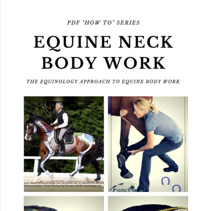 Equinology® How-To Series: Equine Neck Body Work