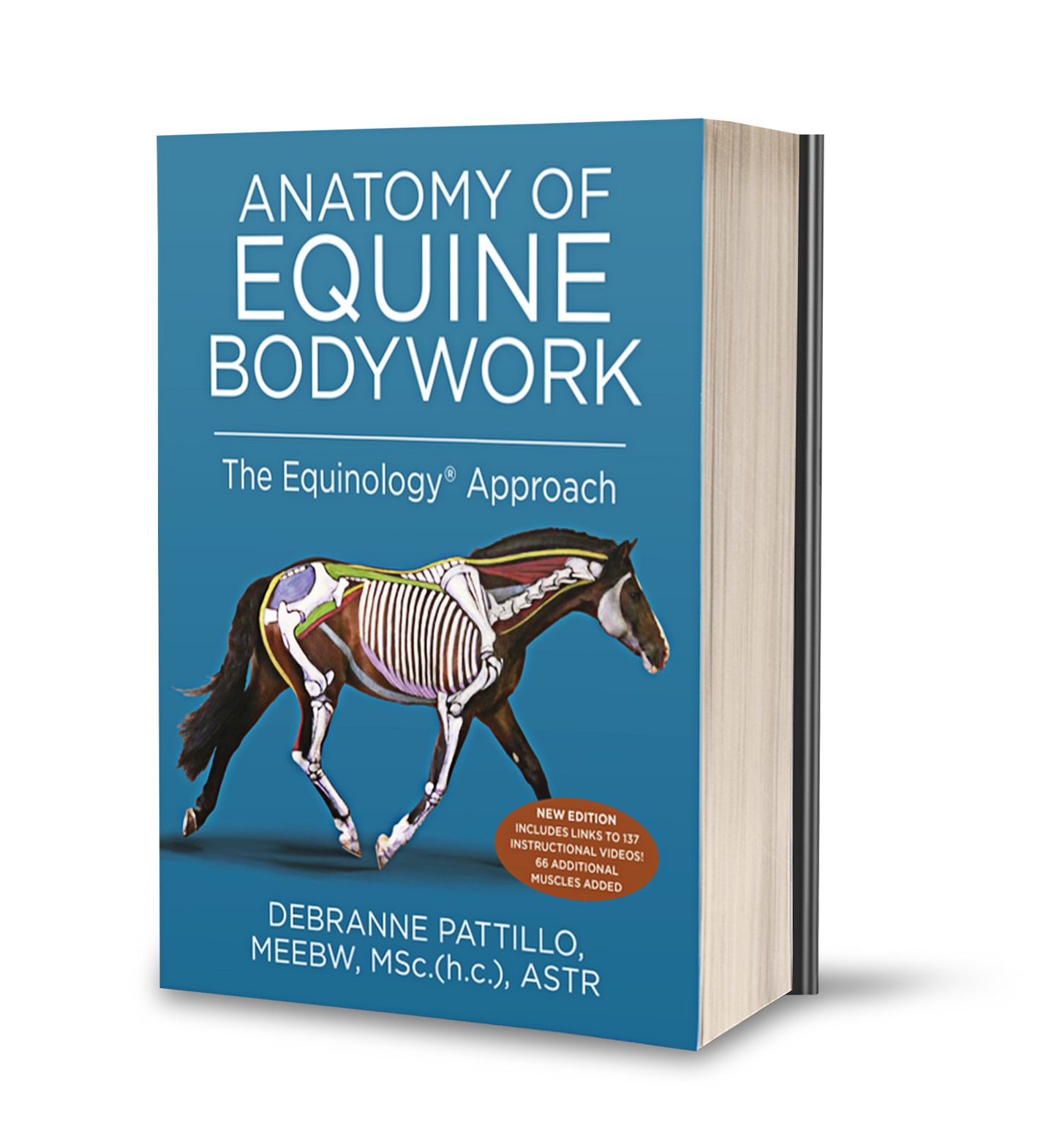 Anatomy of Equine Bodywork – The Equinology Approach: Comprehensive Reference Book for Veterinarians, Therapists, and Horse Owners