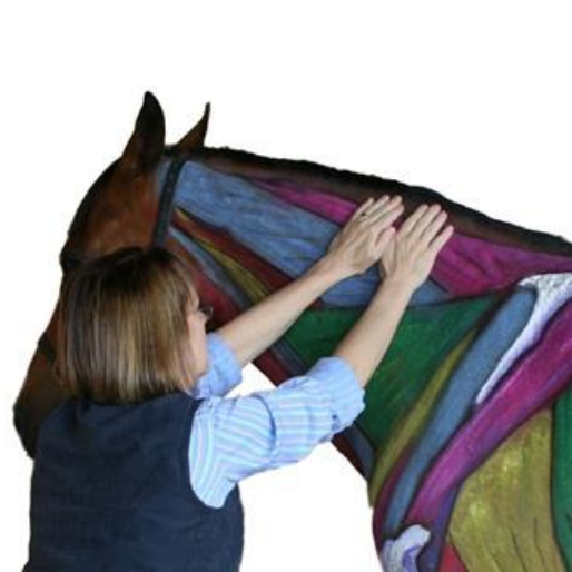 Equinology® Owner Moves: Rhomboid Melt